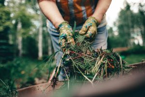 Gardener handling organic debris for sustainable yard waste management landscaping