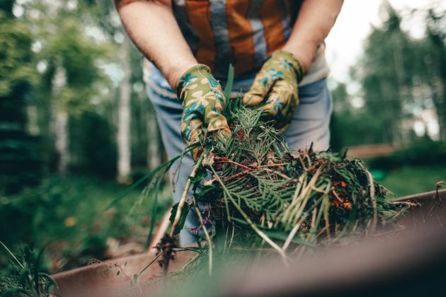 landscaping waste, Yard Waste Management